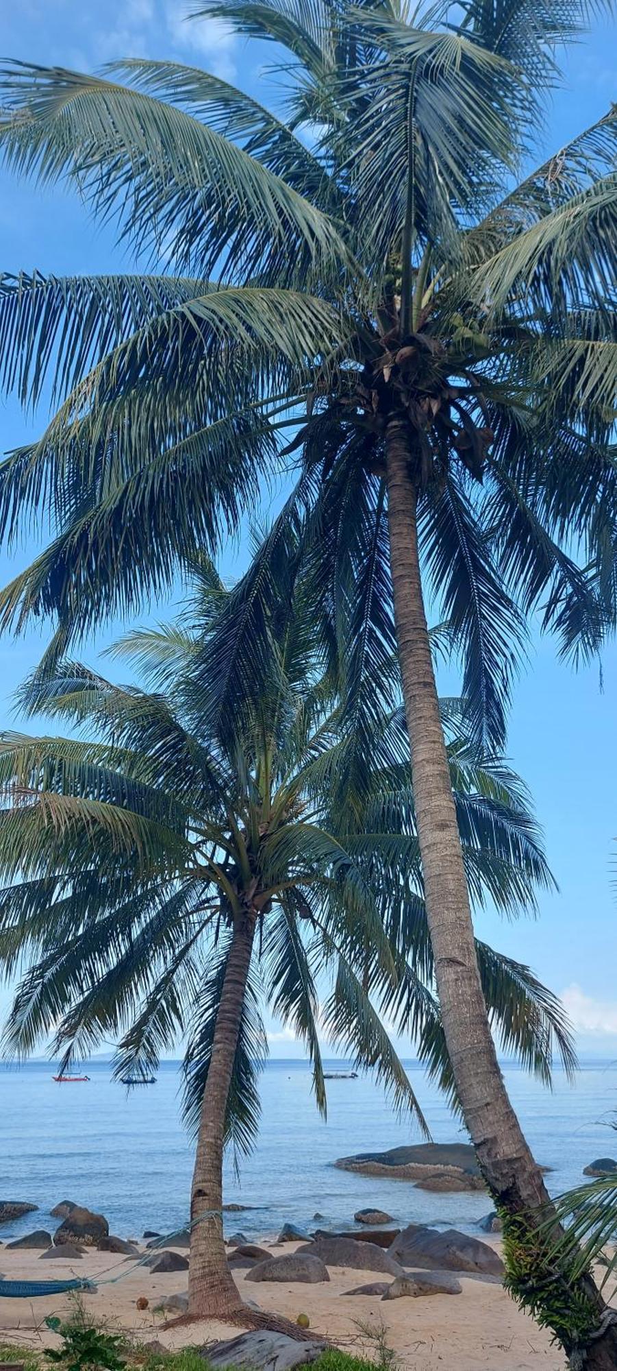 Home Away Tioman Island Kampung Genting ภายนอก รูปภาพ